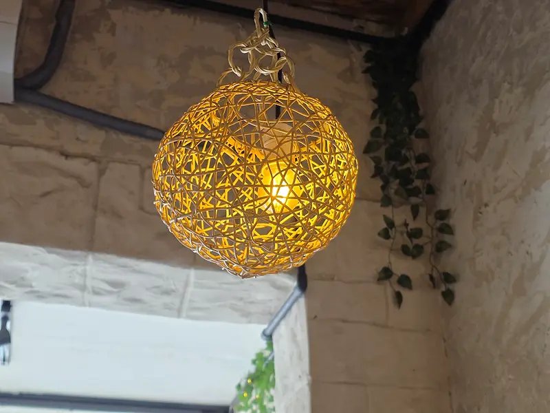 Close-up of a woven brass pendant lamp glowing beside trailing vines