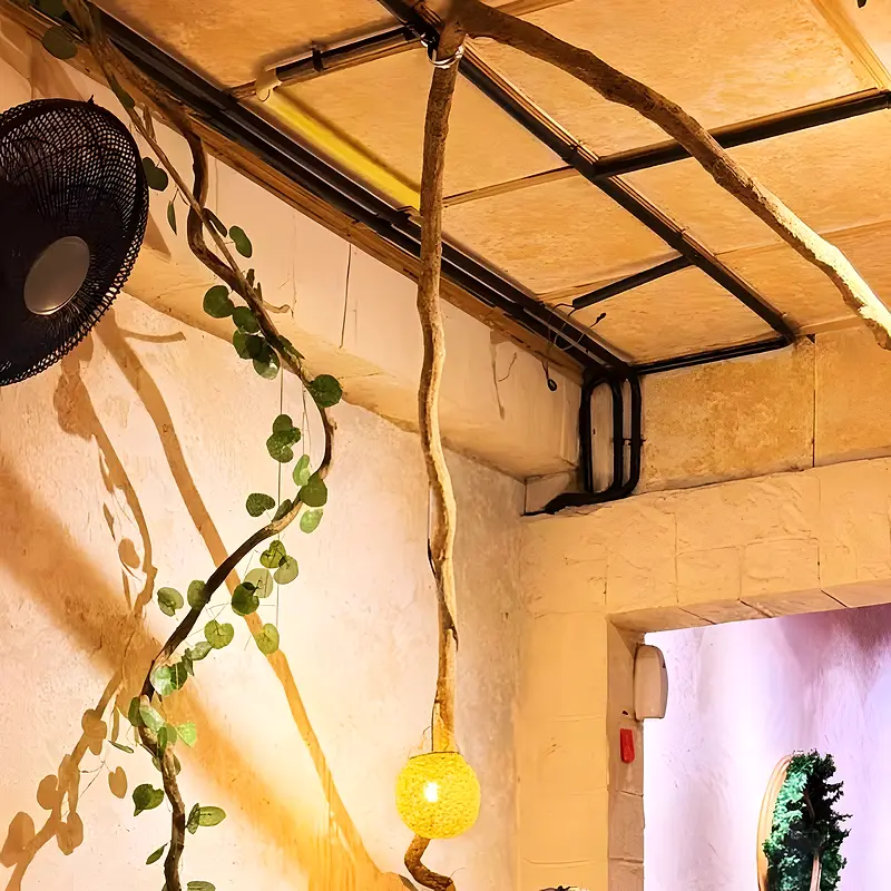 Vines climbing across the ceiling towards a warm pendant lamp
